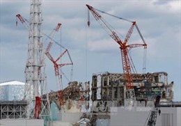 Nhật Bản bắt đầu khử chất thải phóng xạ rò rỉ nhà máy điện hạt nhân Fukushima Daiichi 